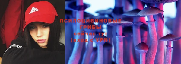 гидра Белоозёрский
