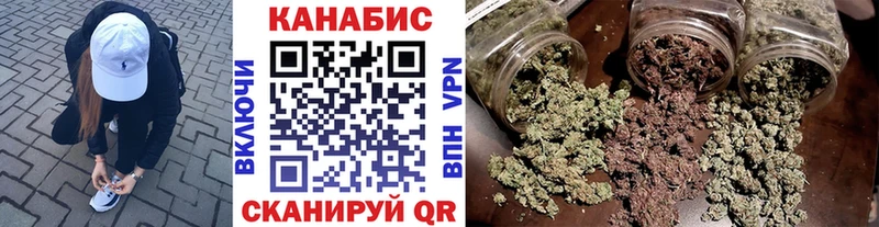 Каннабис сатива Сегежа